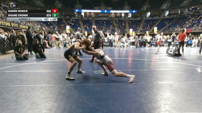 132 lbs Consy 5 - Kaden Husick, Tussey Mountain vs Shane Cronin, Beth Center