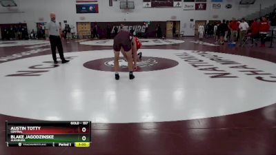 157 lbs Champ. Round 1 - Blake Jagodzinske, Augsburg vs Austin Totty, Central