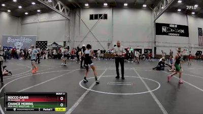 96 lbs Placement (4 Team) - Rocco Garis, PA Alliance vs CHANCE MORRIS, High Pace Wrestling