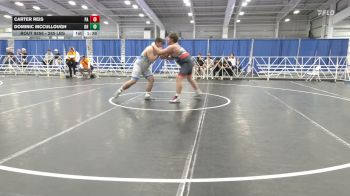 285 lbs Final - Carter Reis, PA vs Dominic Mccullough, OH