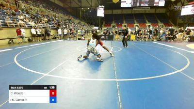 144 lbs Cons 8 #1 - Chance Woods, IL vs Nathaniel Carter, MI