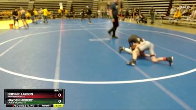 105 lbs Quarterfinals (8 Team) - Dominic Larson, Worthington vs Hayden Hiebert, LPGE/B Wolves