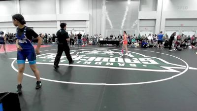 115 lbs 1/4 Final - Libby Robledo, Tennessee vs Brianna Bringas, Florida