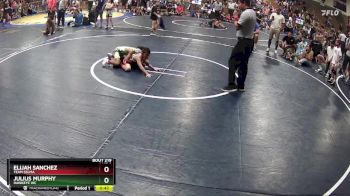 58 lbs Quarterfinal - Julius Murphy, Hawkeye WC vs Elijah Sanchez, Team Selma