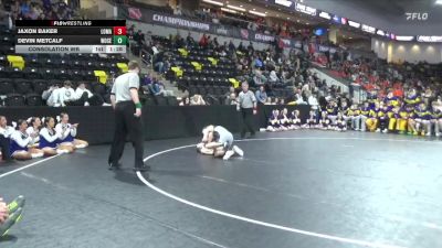 132 lbs Consolation Wb - Jaxon Baker, Logan-Magnolia vs Devin Metcalf, Woodbury Central