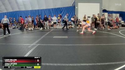 175 lbs Round 2 (8 Team) - Liam Dillon, Jackson HS vs Cole Ditzeg, Rogue WC