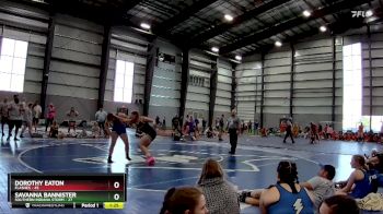 164 lbs Semis & 1st Wrestleback (8 Team) - Savanna Bannister, Southern Indiana Storm vs Dorothy Eaton, Flashes