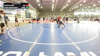 80 lbs Consi Of 4 - Kayden Rands, Team Michigan vs Caleb Tsikerdanos, Warhawks