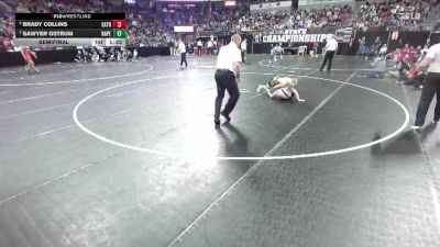 D2-132 lbs Semifinal - Sawyer Ostrum, Nekoosa/Assumption/Port Ed. vs Brady Collins, East Troy