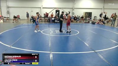 110 lbs Round 3 (8 Team) - Nathan Morales, Massachusetts vs Colton Price, Delaware