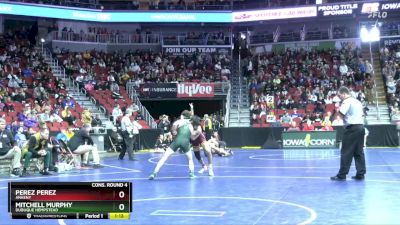 3A-132 lbs Cons. Round 4 - Mitchell Murphy, Dubuque Hempstead vs Perez Perez, Ankeny