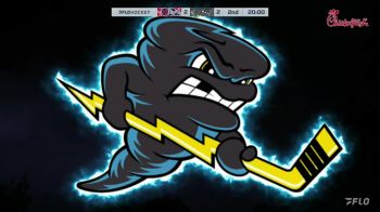 Replay: Home - 2024 Evansville vs Quad City | Feb 1 @ 9 AM