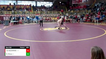 106 lbs Semifinal - BRADLEY RUCKMAN, Civic Memorial vs Nathan Rioux, Avon