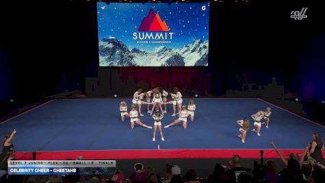 Celebrity Cheer - CHEETAHS [2026 L3 Junior - Flex - D2 - Small - B Finals] 2026 The D2 Summit
