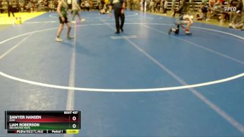 130 lbs Quarterfinal - Sawyer Hansen, EVW vs Liam Roberson, Rochester Mayo