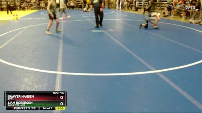 130 lbs Quarterfinal - Sawyer Hansen, EVW vs Liam Roberson, Rochester Mayo