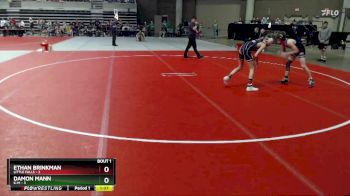105 lbs Semis (4 Team) - Ethan Brinkman, Little Falls vs Damon Mann, K-M