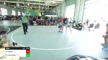 98 lbs Quarterfinal - Wyatt Hamer, Colorado Regulators vs Mia Hernandez, Threshold WC