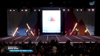 Venom Allstars - Biggie Boas [2025 L2 Youth - D2 - Small - A - WC Day 2] 2025 The Youth Summit