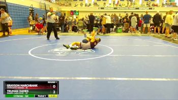 92 lbs Round 1 (4 Team) - Grayson Marchbank, Charlotte Vikings vs Truman Dames, Finger Lakes Elite