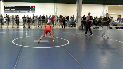 95 lbs Consi Of 8 #1 - Aiden Dalie, WI vs Brady Sher, FL