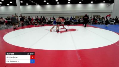 113 lbs 1/2 Final - Daniel Goodwin, Il vs William Jakeway, Sc