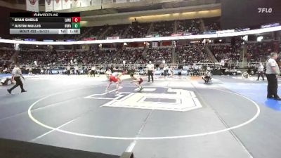 II-131 lbs Quarterfinal - Evan Sheils, Lansing vs Justin Mullis, Hudson Falls