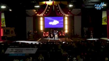 Cheer Athletics - Charlotte - ReignCats [2024 L5 Senior Day 2] 2024 ASC Battle Under the Big Top Grand Nationals