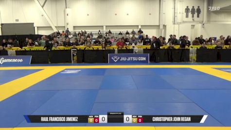 Christopher John Regan vs Raul Francisco Jimenez 2025 World IBJJF Jiu-Jitsu No-Gi Championship