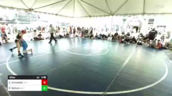 82 lbs Quarterfinal - Cash Ormando, Mattime vs Peter Alexander Schutz, MN Elite