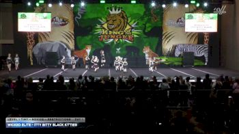 Wicked Elite - Itty Bitty Black Kitties [2026 L1 Tiny - Novice - Restrictions Day 1] 2026 ASC King of the Jungle Chicago Showdown