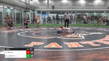 60 lbs Quarterfinal - Abram Mccall, Michigan vs Shay Lundvall, Iowa Hammers