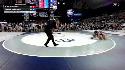 113 lbs Champ. Rd Of 64 - Gabe Swenson, MN vs Christopher Metz, GA