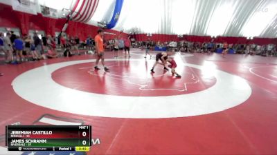 96-101 lbs Round 2 - Jeremiah Castillo, Roncalli vs James Schramm, Riverdale