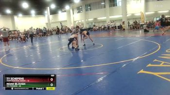 165 lbs Round 5 (10 Team) - Noah Blough, 212 Madison vs Ty Schepens, Team Montana Sidney