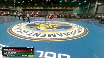 215 lbs Cons. Round 1 - Luis Calderon, Castro Valley vs Billy Sparks, Pahrump Valley