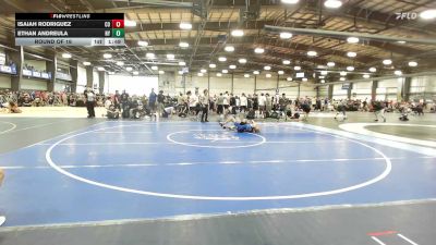 113 lbs Round Of 16 - Isaiah Rodriguez, CO vs Ethan Andreula, NY