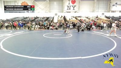 65 lbs Semifinal - Jackson Helminger, Empire Wrestling Academy vs Jackson Caporiccio, Apex Wrestling NYC (Hudson Valley)