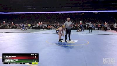 D2-215 lbs Cons. Round 3 - Holden Otter, Carleton Airport vs Cayden Bell, Waverly HS
