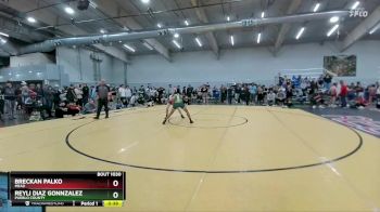 126 lbs Cons. Round 3 - Reyli Diaz Gonnzalez, Pueblo County vs Breckan Palko, Mead