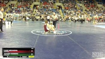 107 lbs Semifinal - Kayden Egeberg, Bismarck vs Cade Nieuwsma, Bismarck