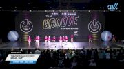 The Vision Dance Center - Mini Jazz [2025 Mini - Jazz - Large Day 1] 2025 GROOVE Dance Grand Nationals