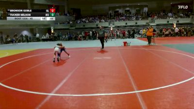 45 lbs Quarterfinal - Bronson Goble, Foley vs Tucker Nelson, Westfield