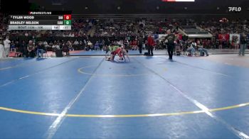 106 lbs Cons. Round 4 - Bradley Nelson, Elko vs Tyler Wood, Sandpoint