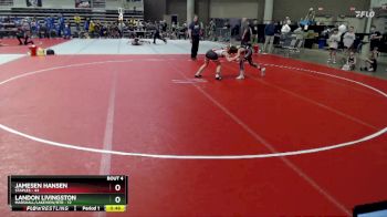 93 lbs Placement (4 Team) - Jamesen Hansen, Staples vs Landon Livingston, Marshall/Lakeview/RTR