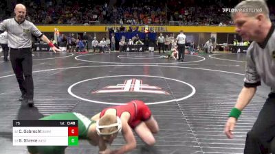 75 lbs Round Of 64 - Chance Gobrecht, Bermudians Springs vs Garrett Shreve, West Greene