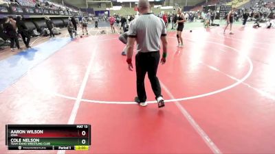 157-161 lbs Round 3 - Aaron Wilson, Iowa vs Cole Nelson, Team Idaho Wrestling Club