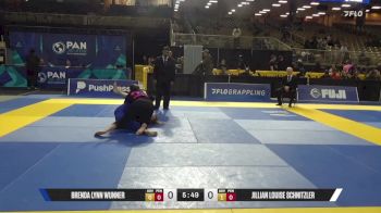 Jillian Louise Schnitzler vs Brenda Lynn Wunner 2025 Pan Jiu Jitsu IBJJF Championship