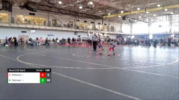 74 lbs Round 5 (6 Team) - Rhilynn Tolzman, Team Minnesota vs Zolah Williams, Missouri Gold