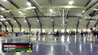 125 lbs 7th Place Match - Colin Mellott, Ohio Northern Univerity vs Amari Harden, Campbellsville